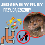 Zdj  cie WhatsApp 2025 04 11 o 12 42 43 d0ce39c4