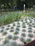 Zdj  cie WhatsApp 2025 03 26 o 15 31 12 c8a4106e