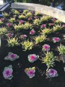 Zdj  cie WhatsApp 2025 03 26 o 15 31 15 815a1fab