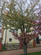 Zdj  cie WhatsApp 2025 03 26 o 15 31 28 25875286