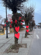 Zdj  cie WhatsApp 2025 03 26 o 15 35 19 54c8cb12